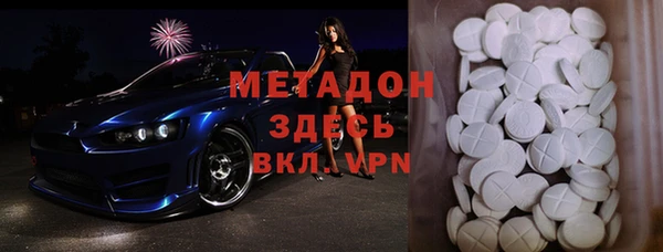 шишки Няндома