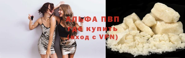 гидра Абаза