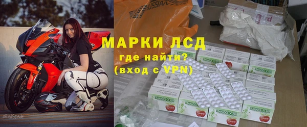 гидра Абаза