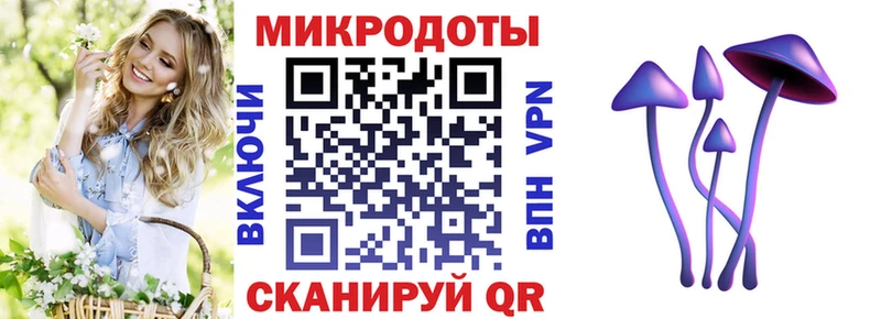 Псилоцибиновые грибы прущие грибы  Анадырь 